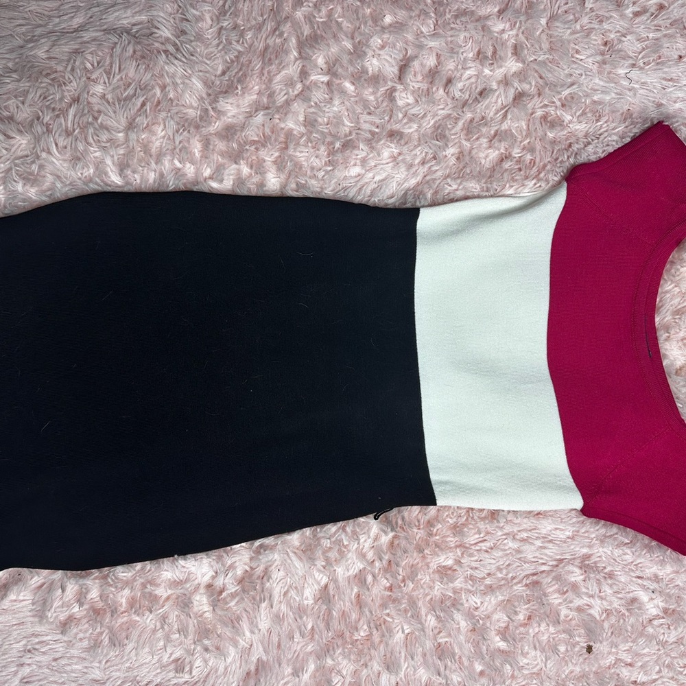 Bebe Dress in Black, White, and Pink